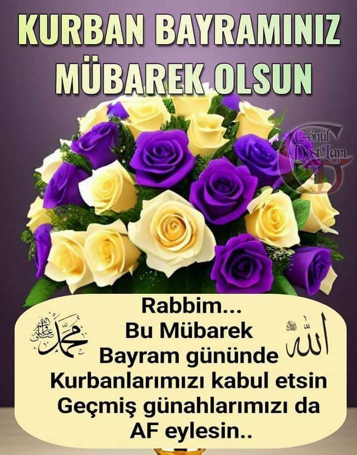 Melih Can (@melihca31701025) on Twitter photo 