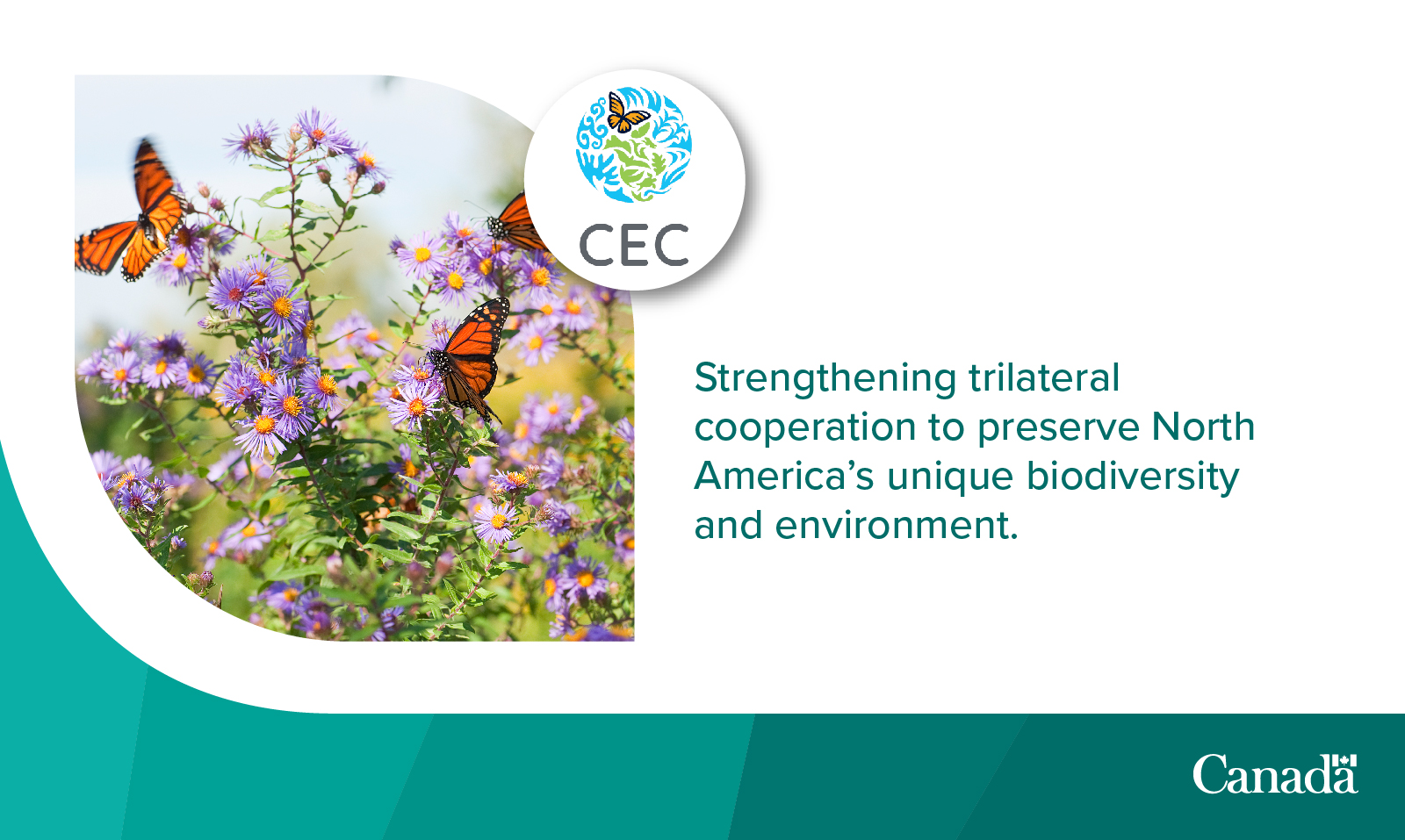 Environment Canada on Twitter "Tune in today live at 9 a.m. PDT as