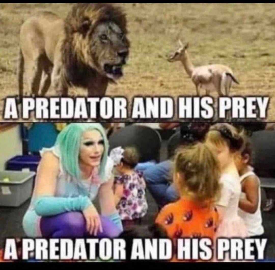 It is important to teach children about predators and how to recognize them. They will sometimes b camouflaged but not always.