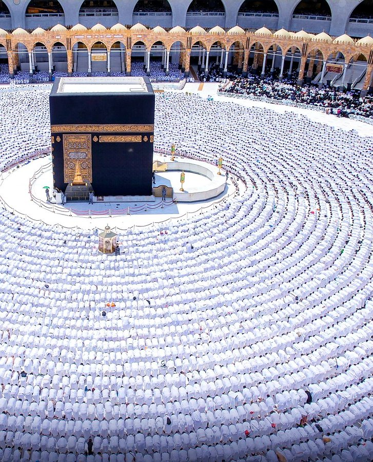 Millions of heads bowing toward one direction, the actual beauty🤍

#Hajj1444