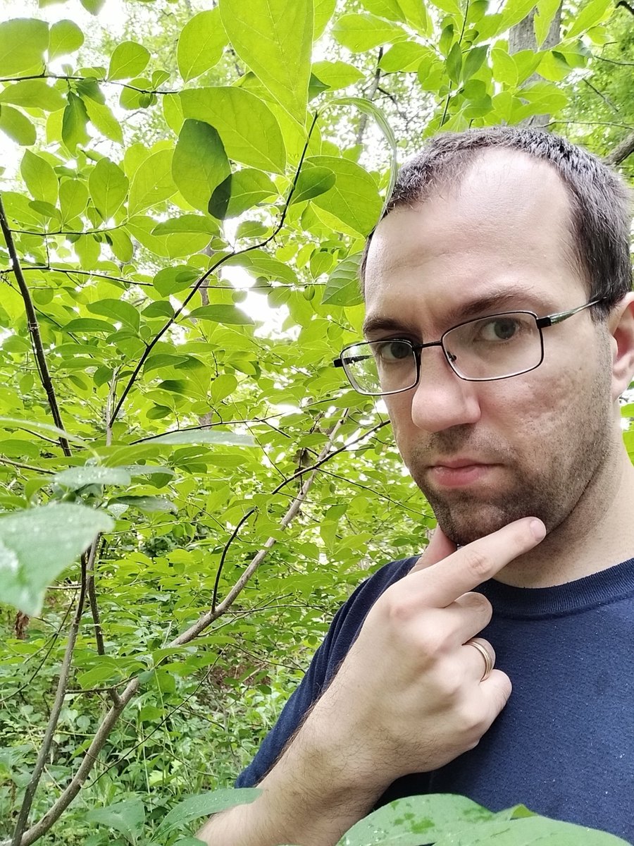 lansdownelib's tweet photo. We're posting challenges each week this summer 🌞

Our 1st challenge: Take selfies 📱 with as many different species of tree 🌳 as possible!

Tag your pictures 📸 with the hashtag #lansdownetasks.

#YourLPL #TreeCity #SummerTasks https://t.co/C7cqgbJJBc
