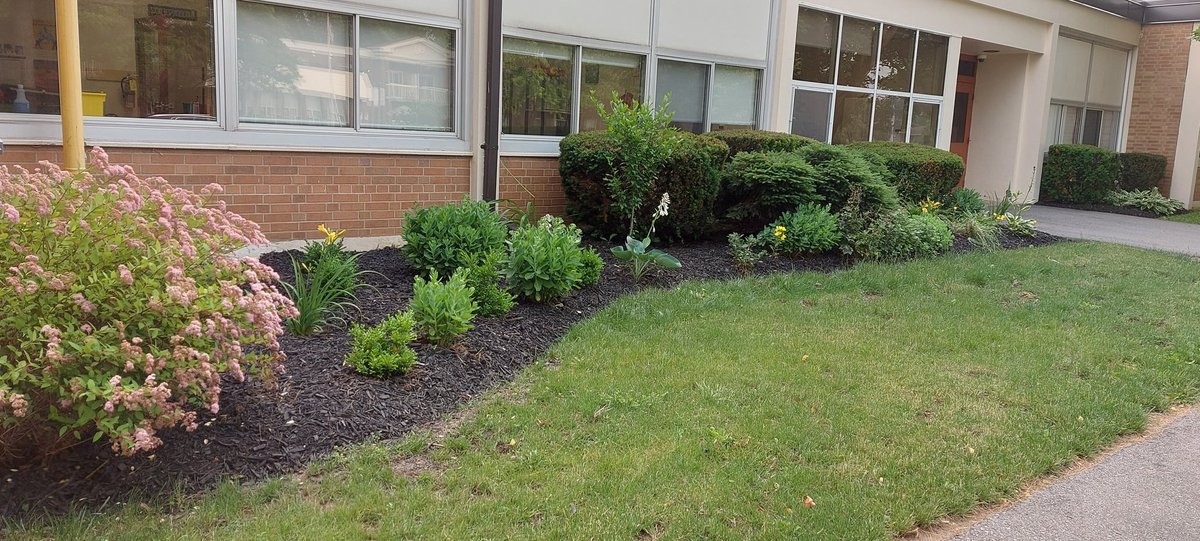 chawrdsb's tweet photo. Have you noticed our beautiful gardens? A big thank you to the Wands Famiky for the mulch donation! https://t.co/l7N4AYY3NG