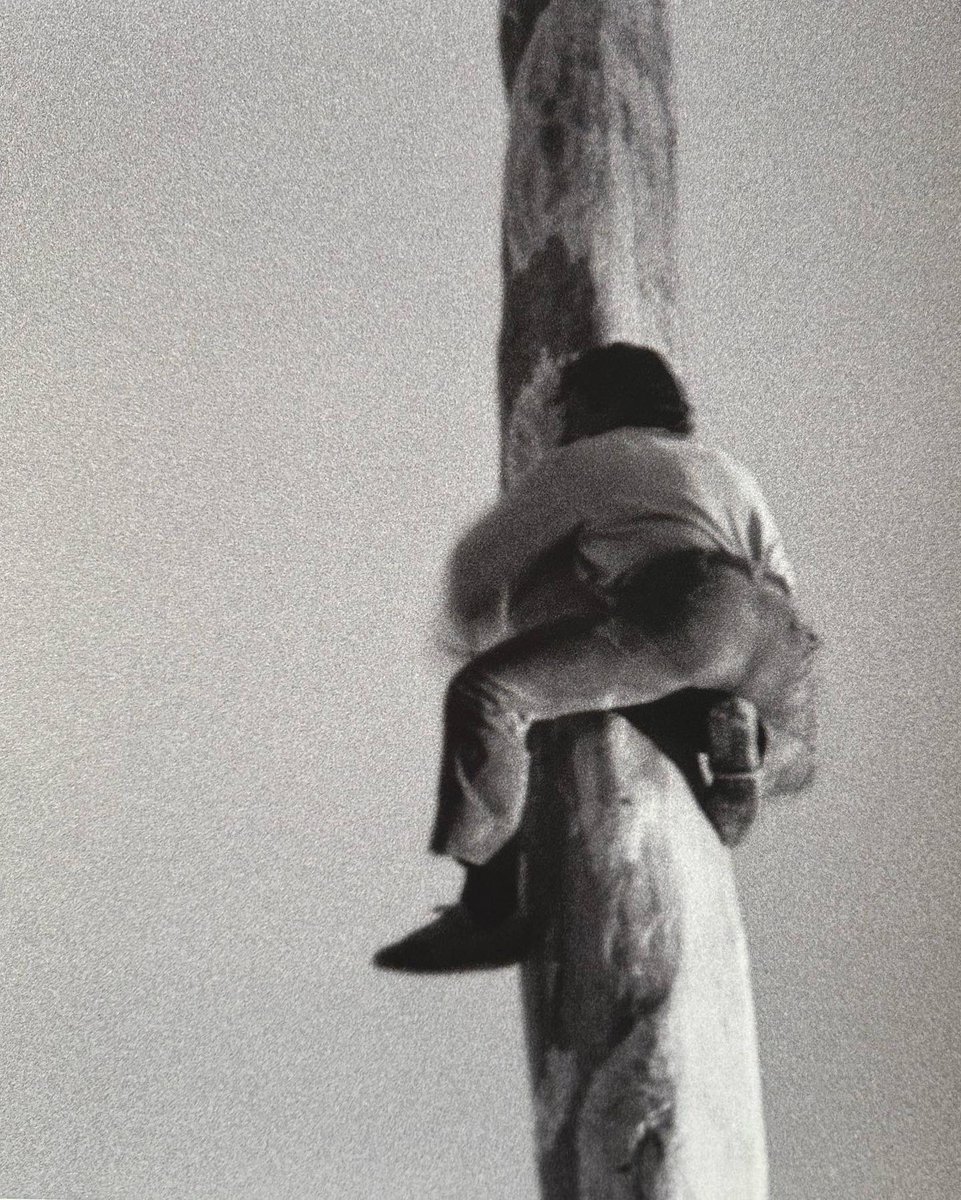 Alessio Bianchi tweet media