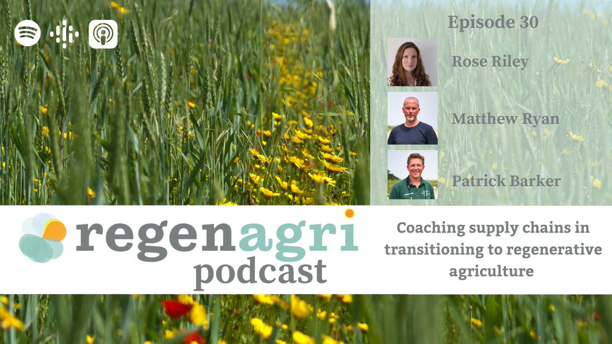 New 30th <a href="/regenagri_org/">regenagri</a> #podcast episode! This month Rose Riley explores coaching #supplychains in transitioning to #regenerative #agriculture with Matthew Ryan #regeneration lead <a href="/NestleUKI/">Nestlé UK & Ireland</a> &amp; Patrick Barker <a href="/The_Barker_Boys/">The Barker Boys</a> partner at Lodge Farm. Listen: spotifyanchor-web.app.link/e/iPCn5AX1ZAb