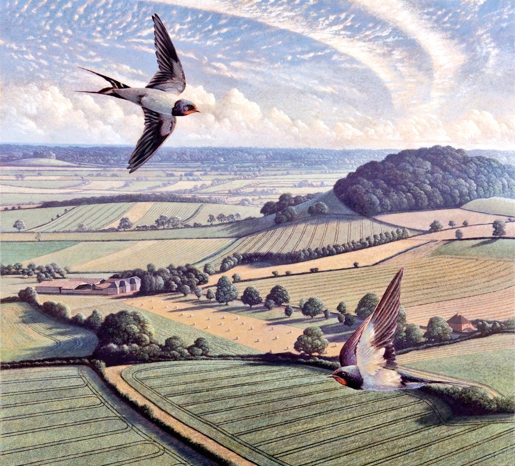 "Let us take flight with the passion of our emotions and follow the graceful swirl of the swallows dancing high in the sky."
   ~ Erik Pevernagie

'Swallows' 🎨 James Lynch