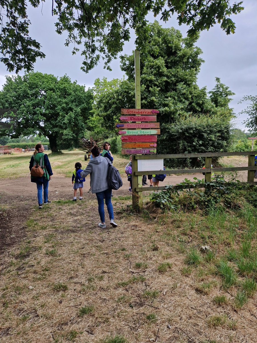 BevingtonRBKC's tweet image. Key Stage 1 arrived at the farm, had some lunch and spoke about what they were going to be picking! @crockfordfarm #Farming #learning #OutsideLearning