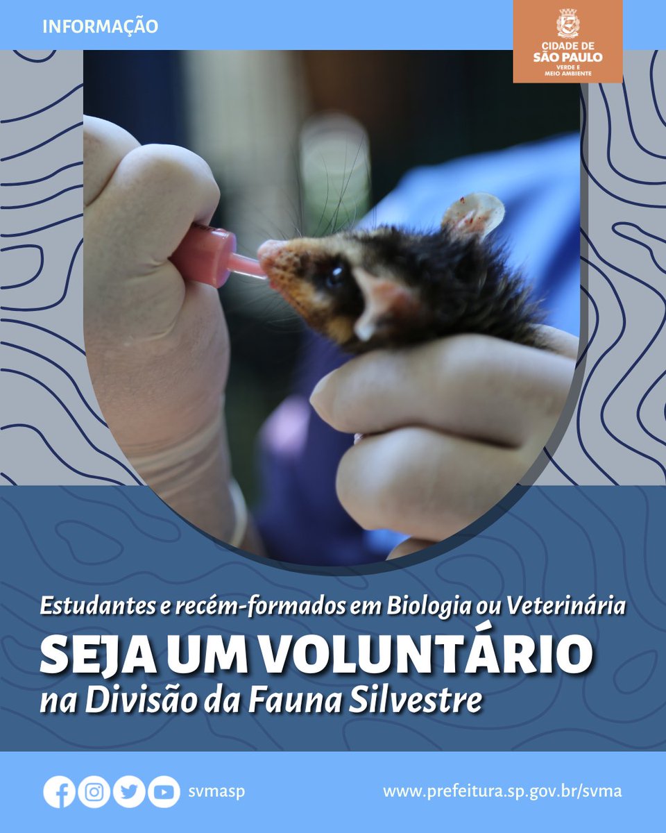 svmasp's tweet photo. 🌳🐾 Quer fazer a diferença na conservação da fauna silvestre? O Município de São Paulo está recebendo propostas para serviços voluntários na Divisão da Fauna Silvestre! 🦥🐅🐒
#svma #voluntario #cemacas #fauna #meioambiente #natureza #biologia #veterinaria https://t.co/OXx5Maukj6