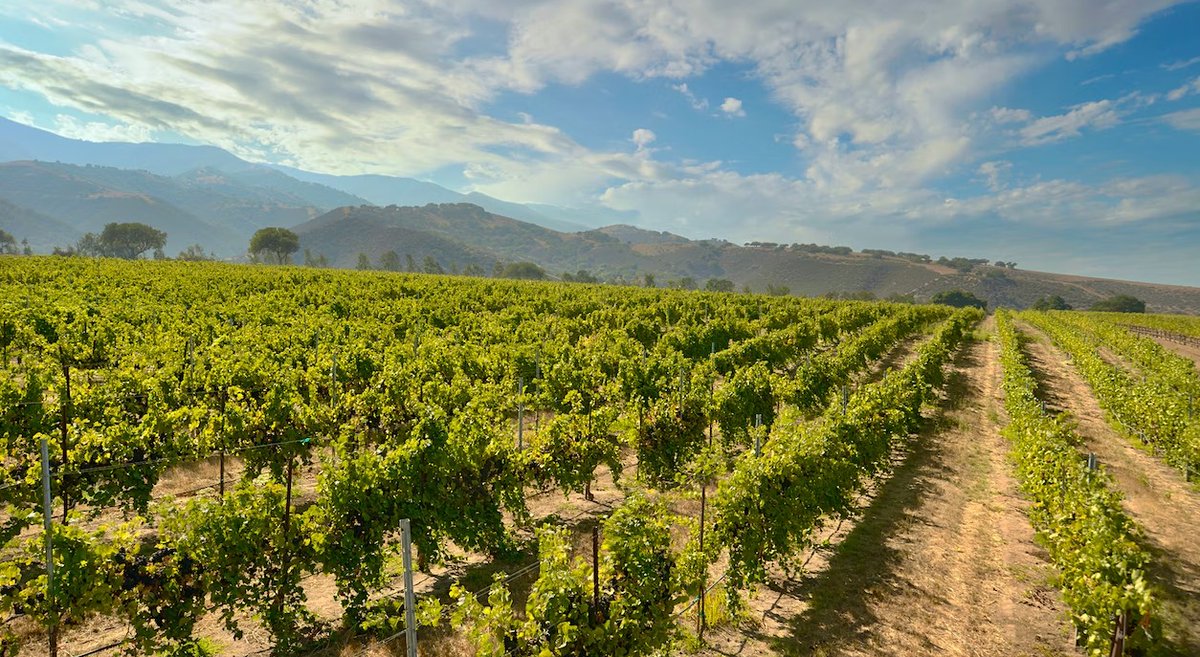 WAAAweb3's tweet image. E.&amp;amp;J. Gallo, the largest wine company in the United States, has announced the acquisition of Hahn Family Wines, a renowned California wine company, in a deal that brings three new brands to Gallo: Smith &amp;amp; Hook, Hahn and Hahn SLH
#wine #hkwine #852web3 #FineWine