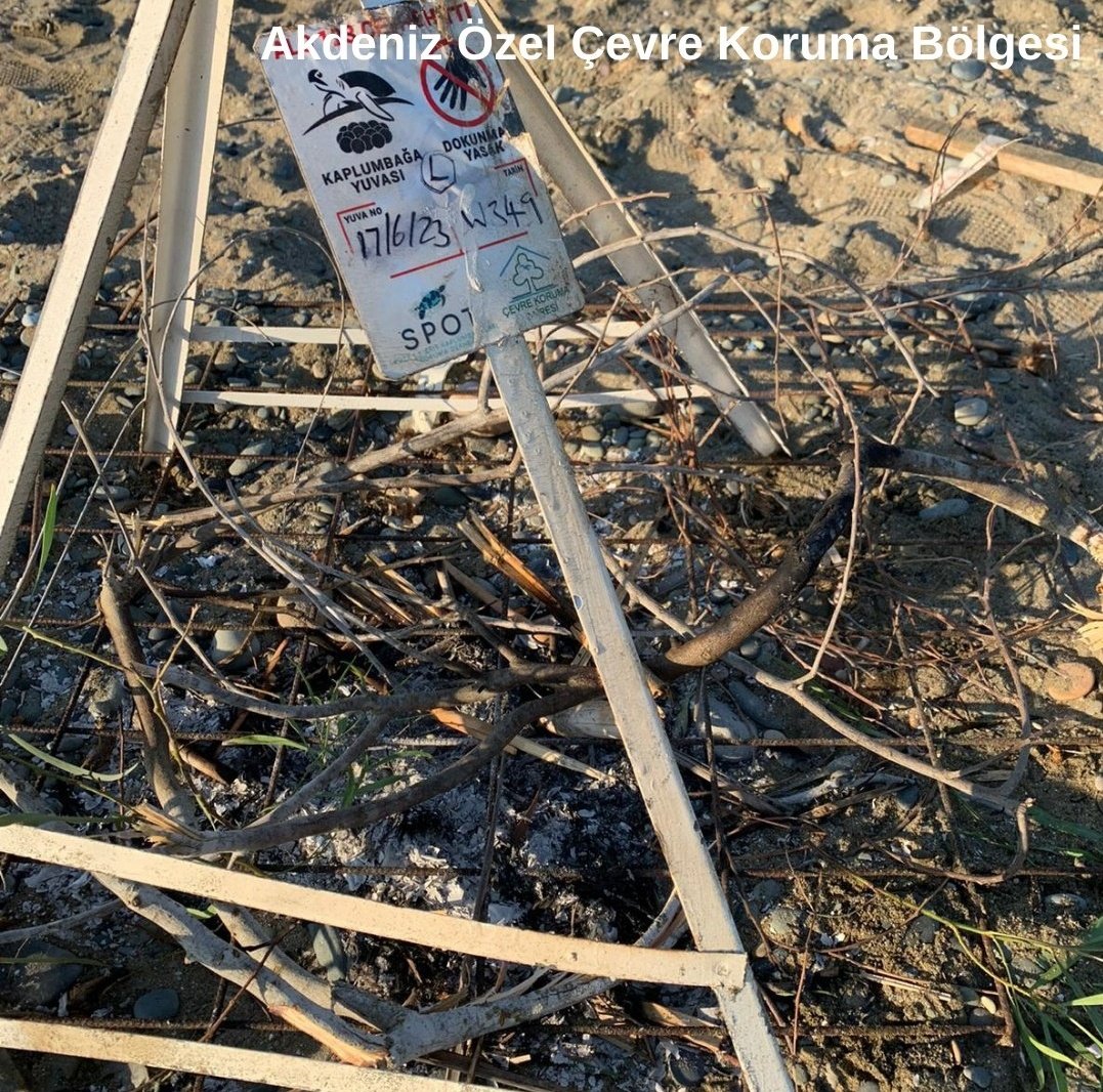 KAPLUMBAĞA YUVASININ ÜZERİNDE ATEŞ YAKACAK KADAR APTAL OLABİLMEK VE BOYLE YAŞAMAK NASIL BIR DUYGU ACABA ?