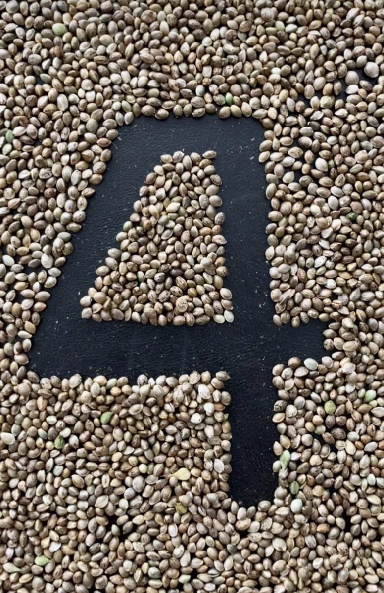 4 more days until legalization day!

#Question4SeedScore

Sign up bit.ly/3iSqUMf

Seeds are limited, so this event is first come first serve.