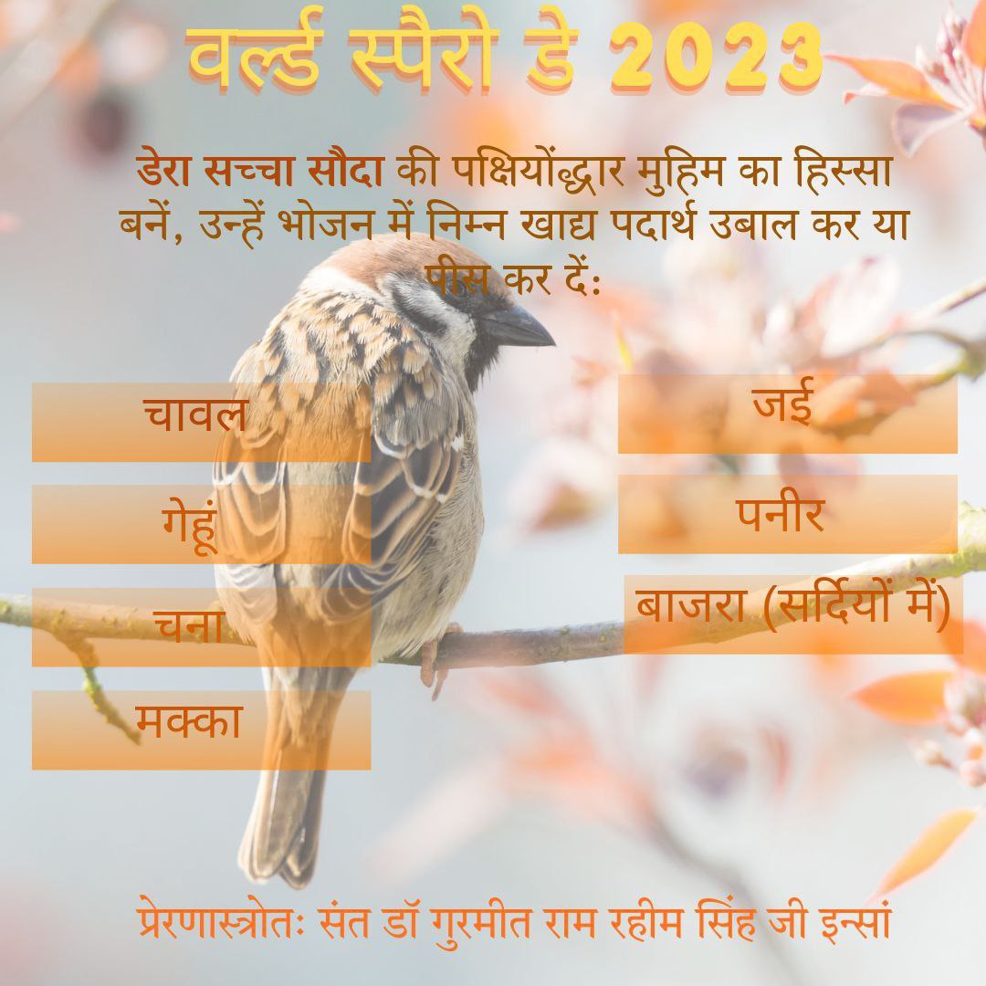 verma31645762's tweet photo. An initiative called 'Birds Nurturing' has been started by Dera Sacha Sauda. With the inspiration of Saint Dr Gurmeet Ram Rahim Singh Ji, lakhs of followers arrange food and water to save these little creatures. #NurtureBirds #BirdsNurturing #FeedLittleCreatures https://t.co/0pfUa9qkiP