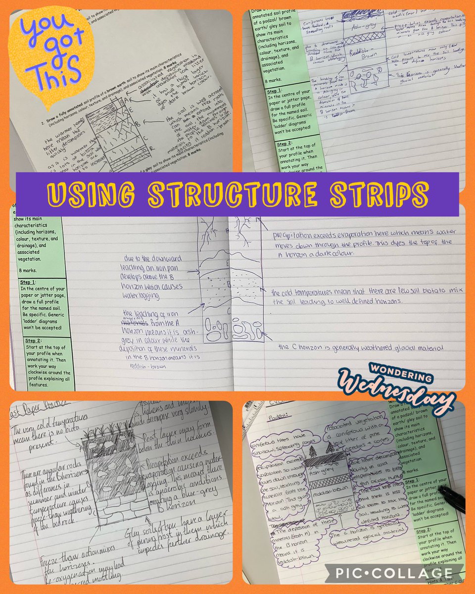 Structure strips are very helpful when writing answers to past paper questions. These examples are proof of that. Well done, everyone! #RRS #Article28