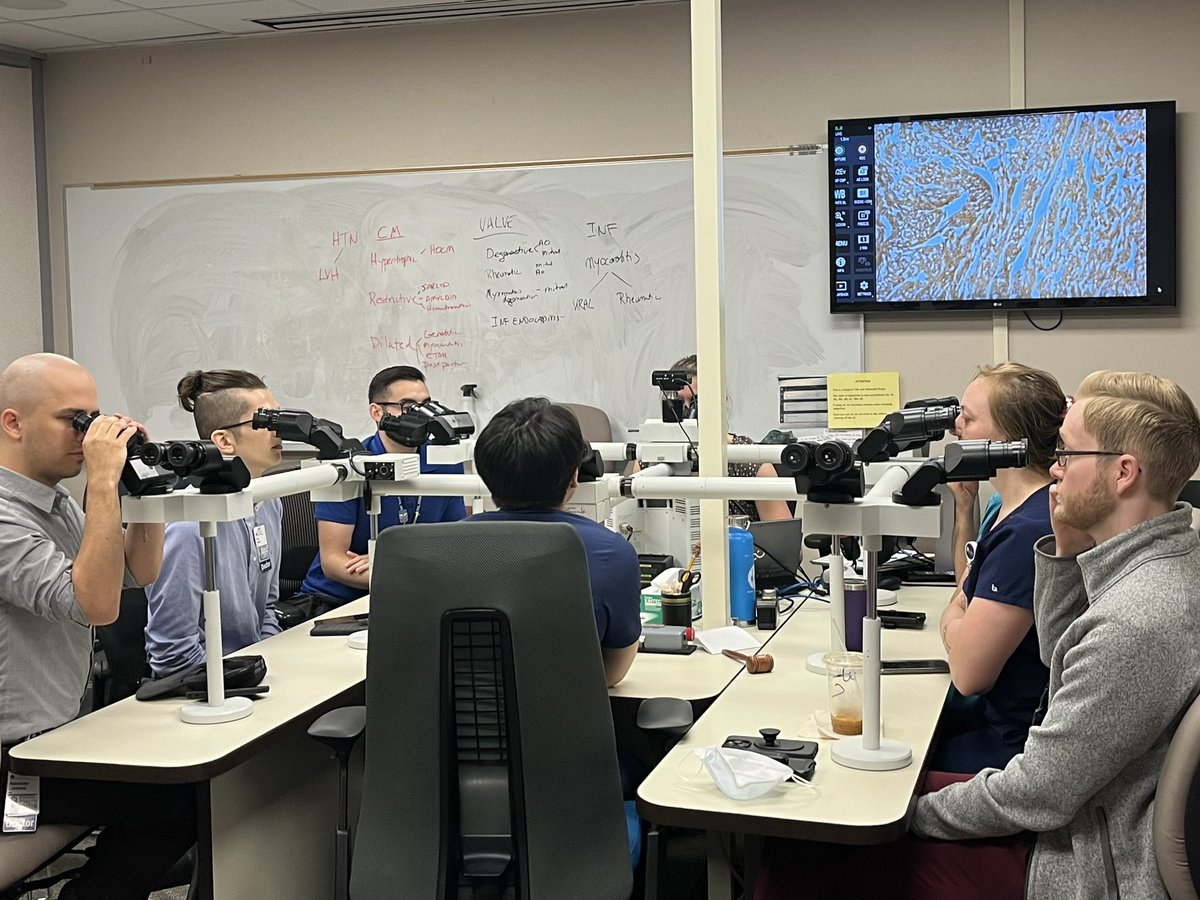 Anne Mills (@annemillsmd) on Twitter photo Today we kicked off our #uvapath Summer Slide Series, a key component of PGY1 onboarding! These senior resident-led, organ-based scope sessions introduce new trainees to a collection of common diagnoses each morning. <a href="/UVA_Pathology/">UVA Pathology</a> <a href="/nsinada49/">Nouran Sinada</a> <a href="/AlexLomors/">Aleksander Luniewski</a> <a href="/JonesAnnavi/">Anna Vi Jones</a> <a href="/kytology/">Kyle Carlson, MD, MPH</a> Today we kicked off our #uvapath Summer Slide Series, a key component of PGY1 onboarding! These senior resident-led, organ-based scope sessions introduce new trainees to a collection of common diagnoses each morning. <a href="/UVA_Pathology/">UVA Pathology</a> <a href="/nsinada49/">Nouran Sinada</a> <a href="/AlexLomors/">Aleksander Luniewski</a> <a href="/JonesAnnavi/">Anna Vi Jones</a> <a href="/kytology/">Kyle Carlson, MD, MPH</a>