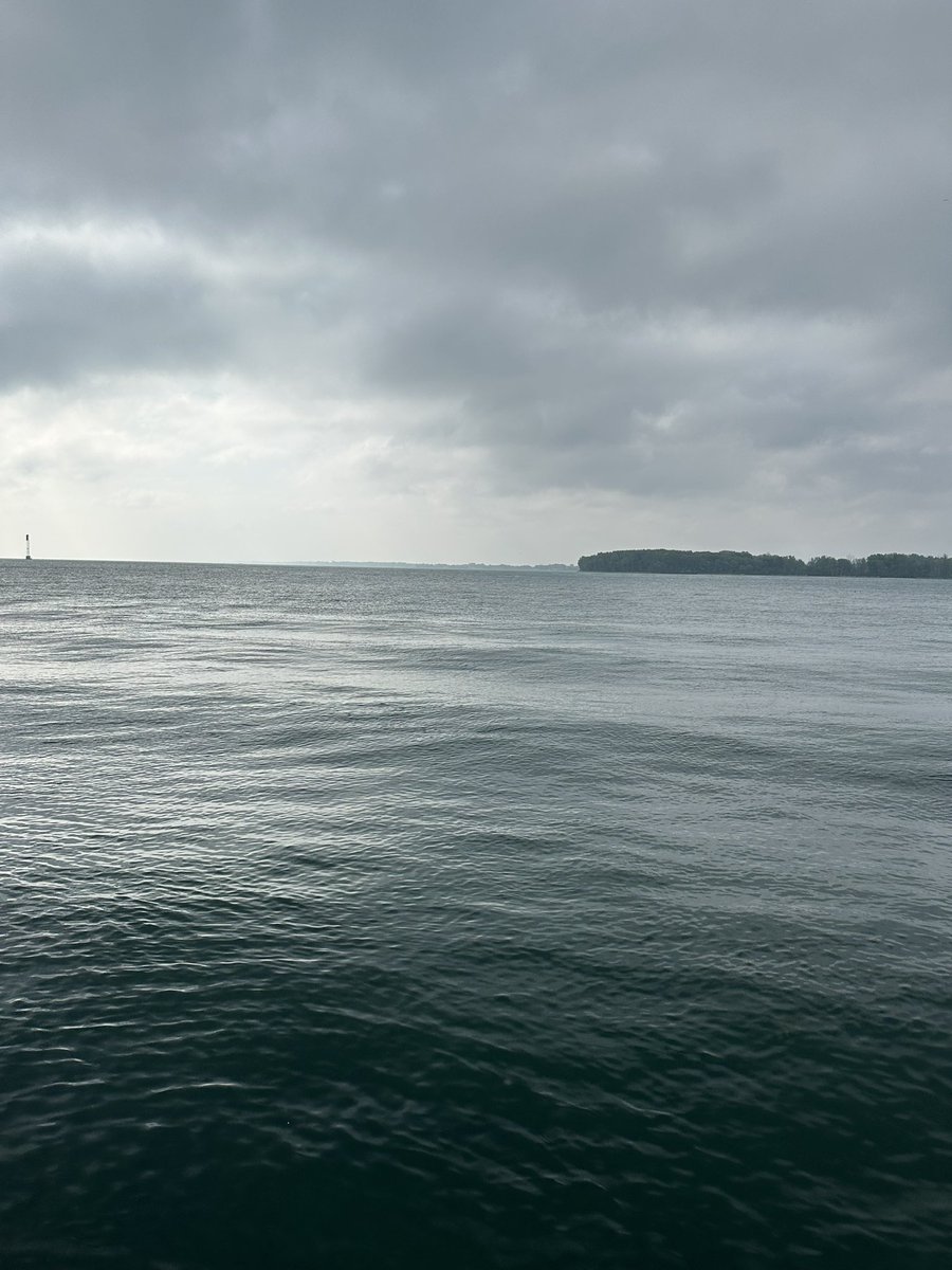 Nicole de B tweet media