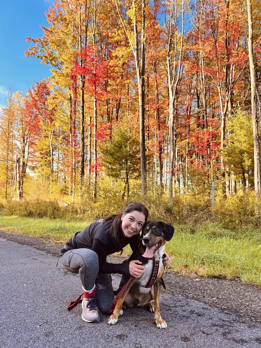 Michelle Schafer, MD tweet media