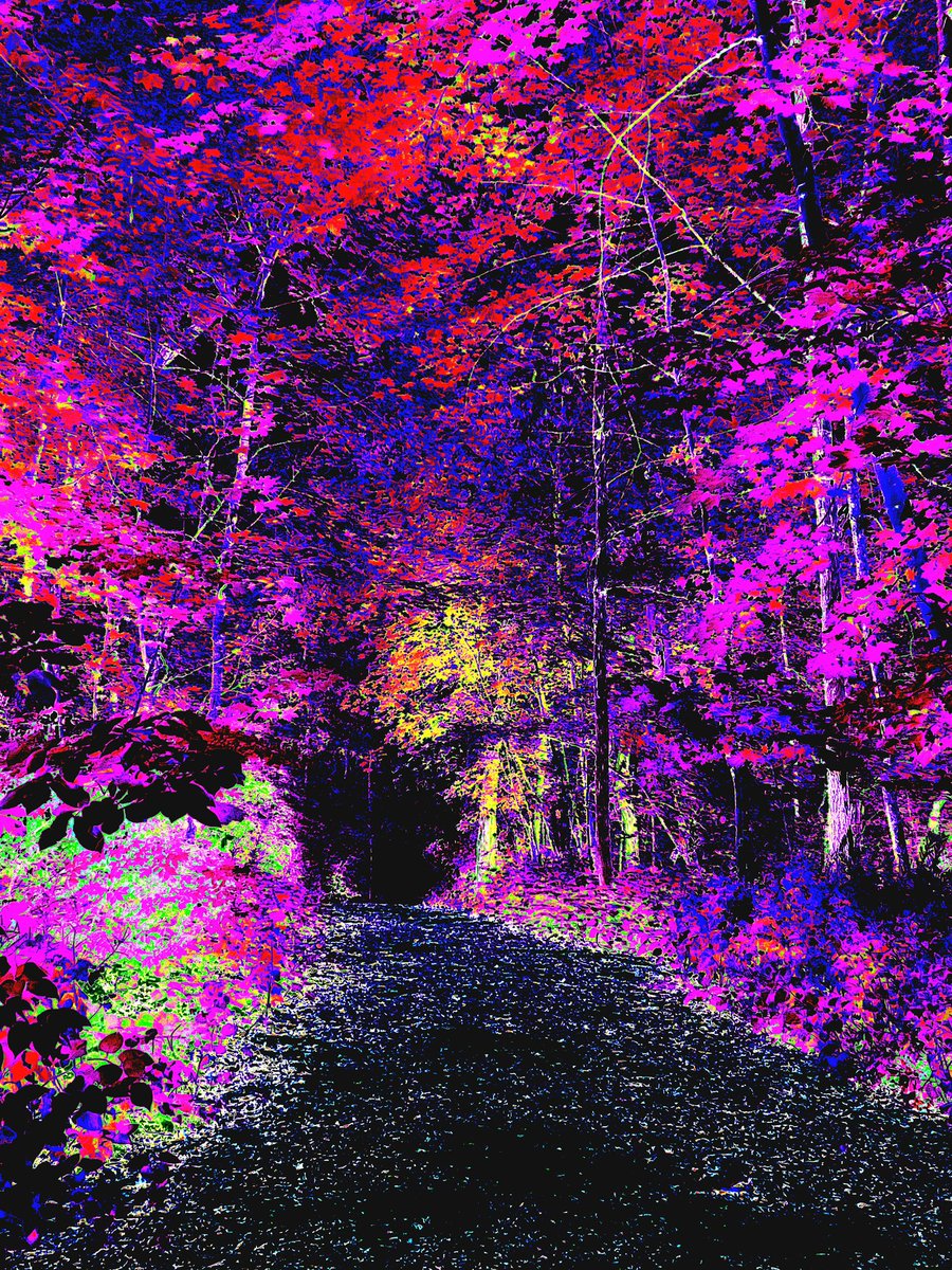 GM! Trippy nature art release alert! Just dropped on @makersplace - Passage. More to come soon in this series (to be named shortly). #MPLaunchpad