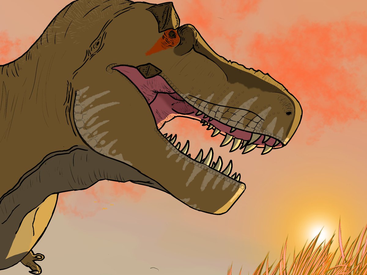 Afternoon reign
#Tyrannosaurus #Paleoart #Dinosaurs #DigitalArt