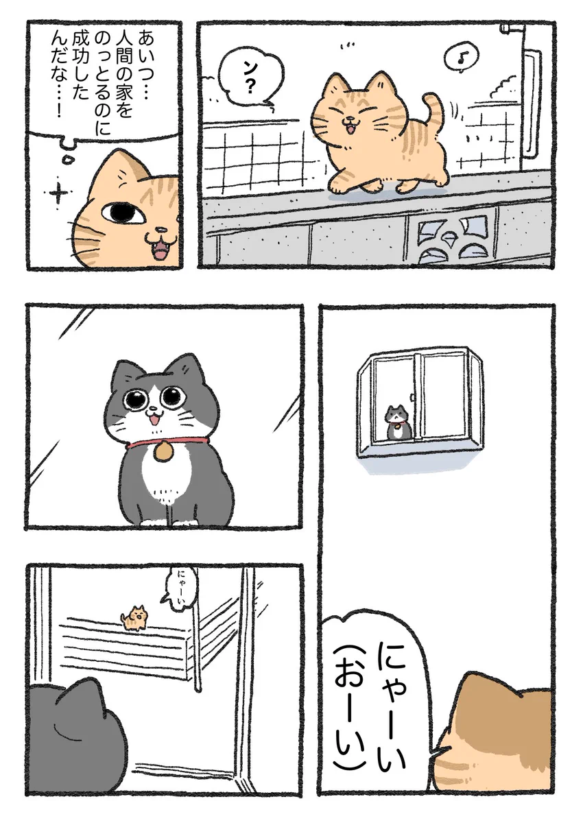 「ねこ転」その144が公開！のらねこ時代に出会ったねこさんがプンちゃんを発見！