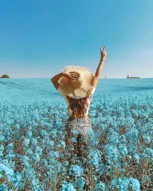 ☀️Happy Wednesday world 
#GoodMorningTwitterWorld 
#WednesdayMotivation 
#GoodVibesOnly