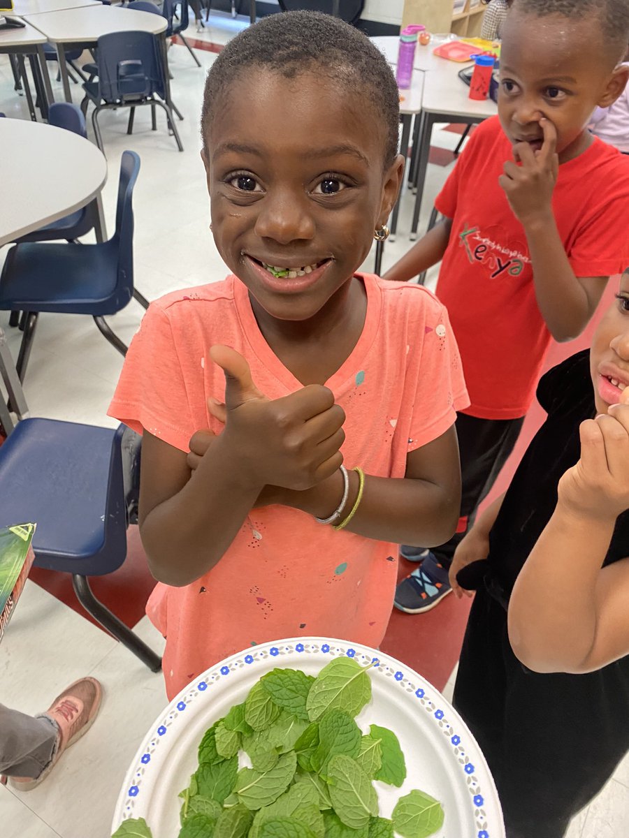 2022Kpb's tweet photo. We were able to do a last minute harvest of our garden and try some of our mint, kale, and spinach 💪 https://t.co/NAozLxgxX8