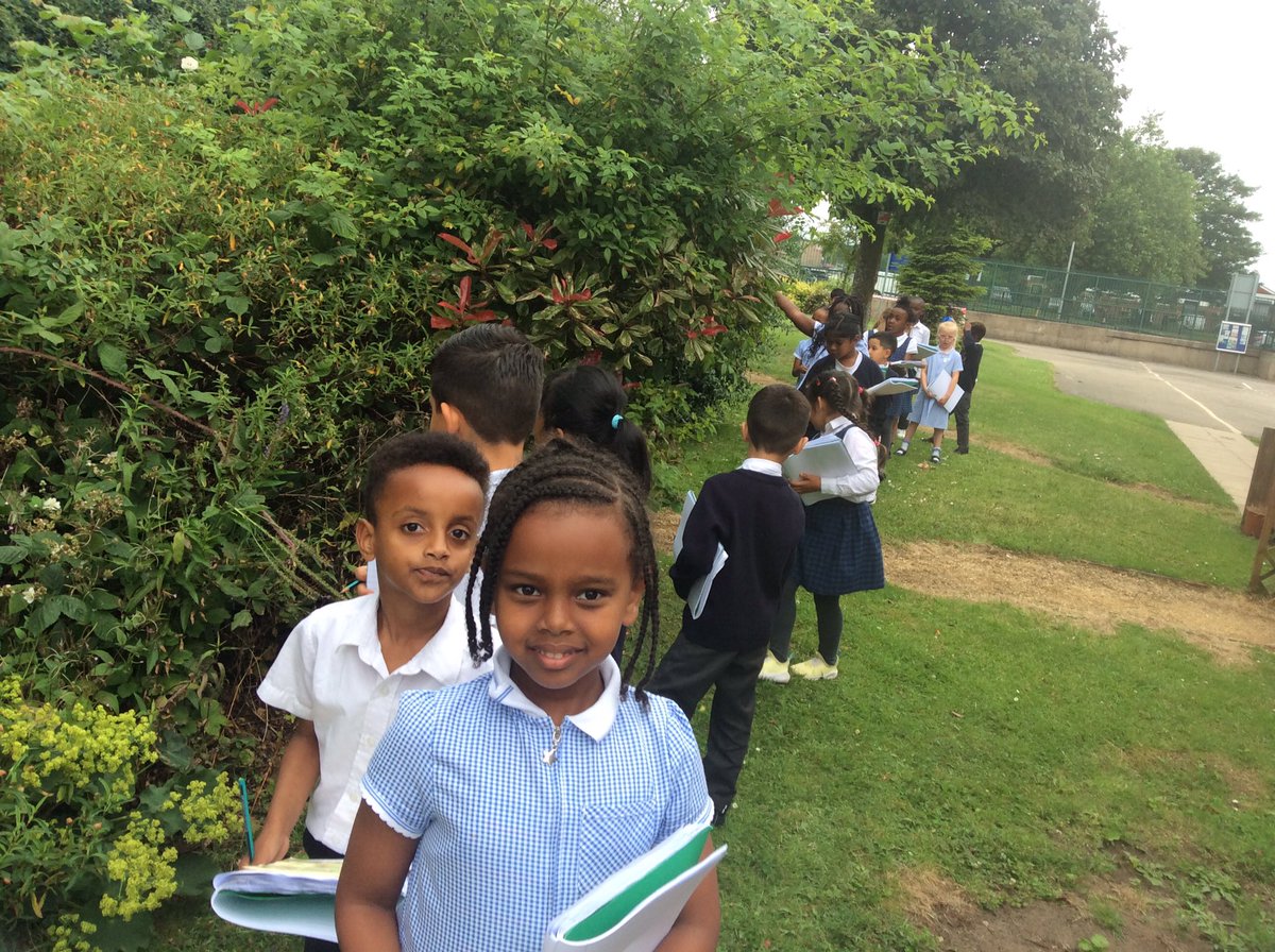 RecordBSTM's tweet image. #stmscience This afternoon we went on a flower hunt around our school grounds. We found daisies, poppies, buttercups, pansies, dandelions, and roses.