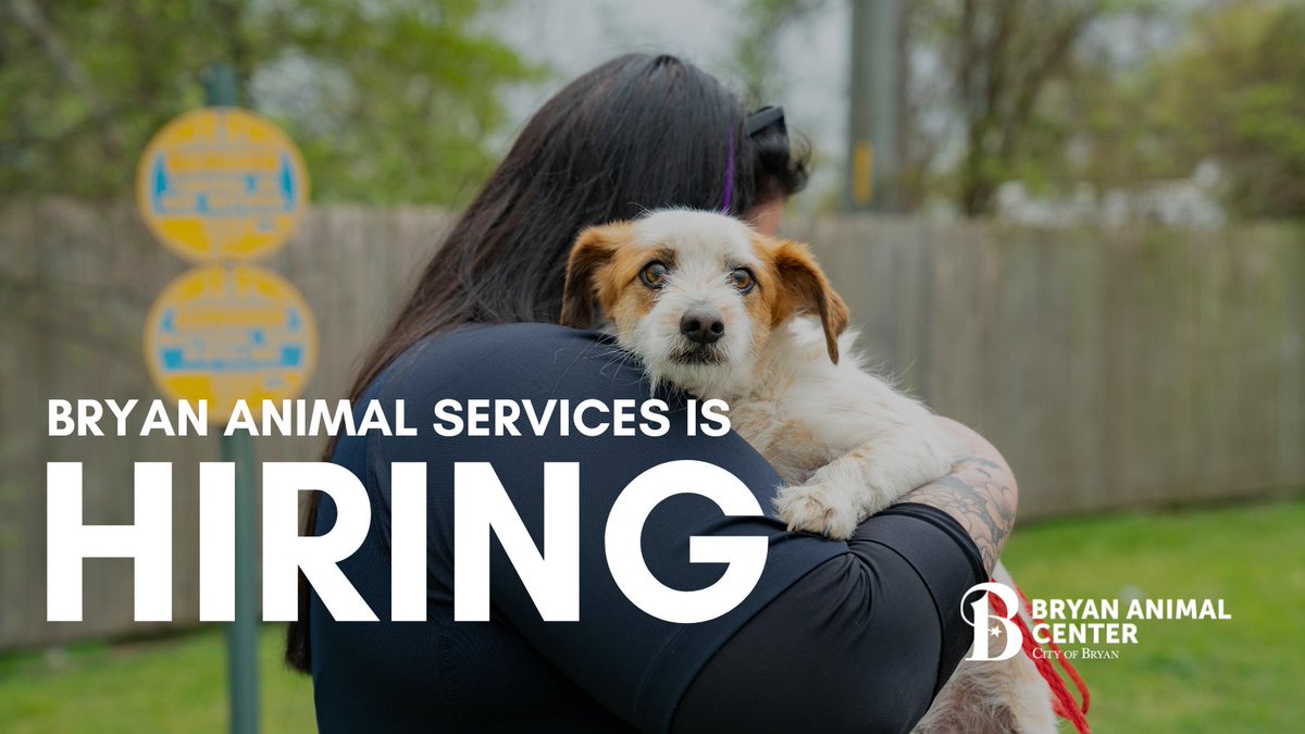 Bryan Animal Services is hiring! 🐾

🐶 Animal Control Officer
🐱 Animal Center Care Technician 

Either job sound interesting? Read the full job descriptions and apply, here: bit.ly/448H5HO 

#BCSTX