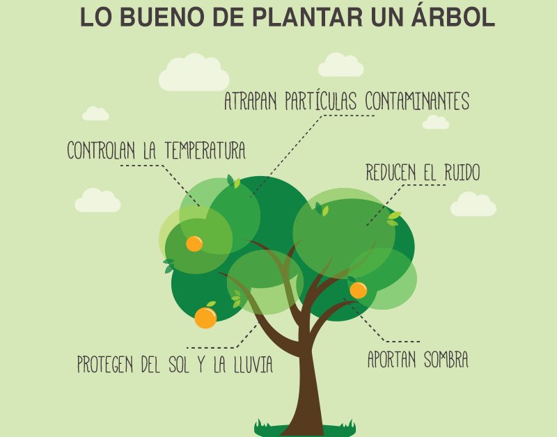 Lo bueno de plantar un àrbol. #diamumdialdelarbol 28 de junio. fuente uv.mx/index.html