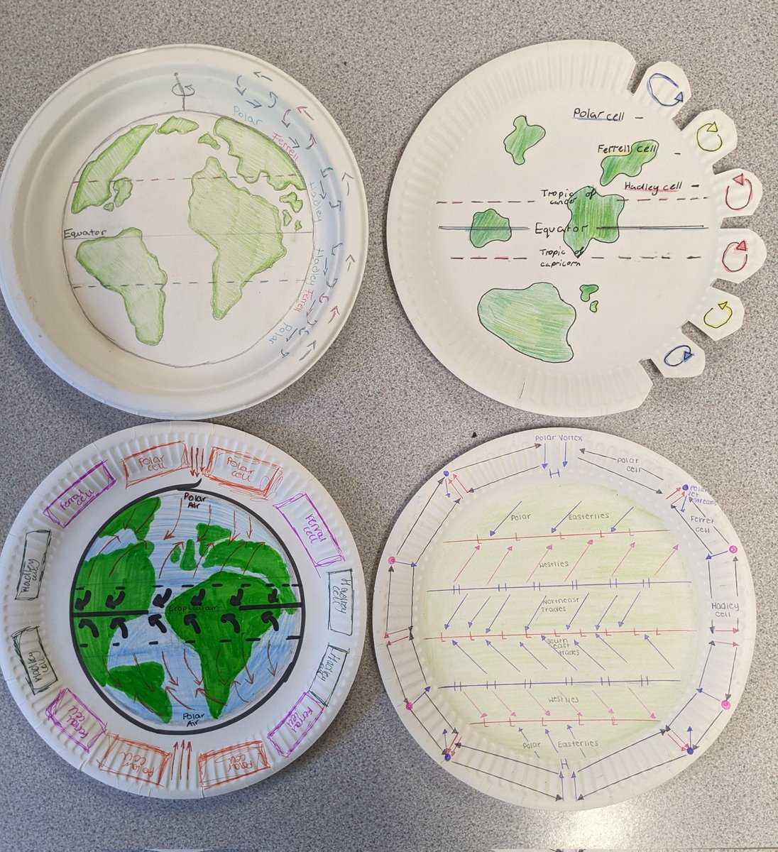 Paper plate tricellular models from Prenton Y9 students #Geography #geographyteacher