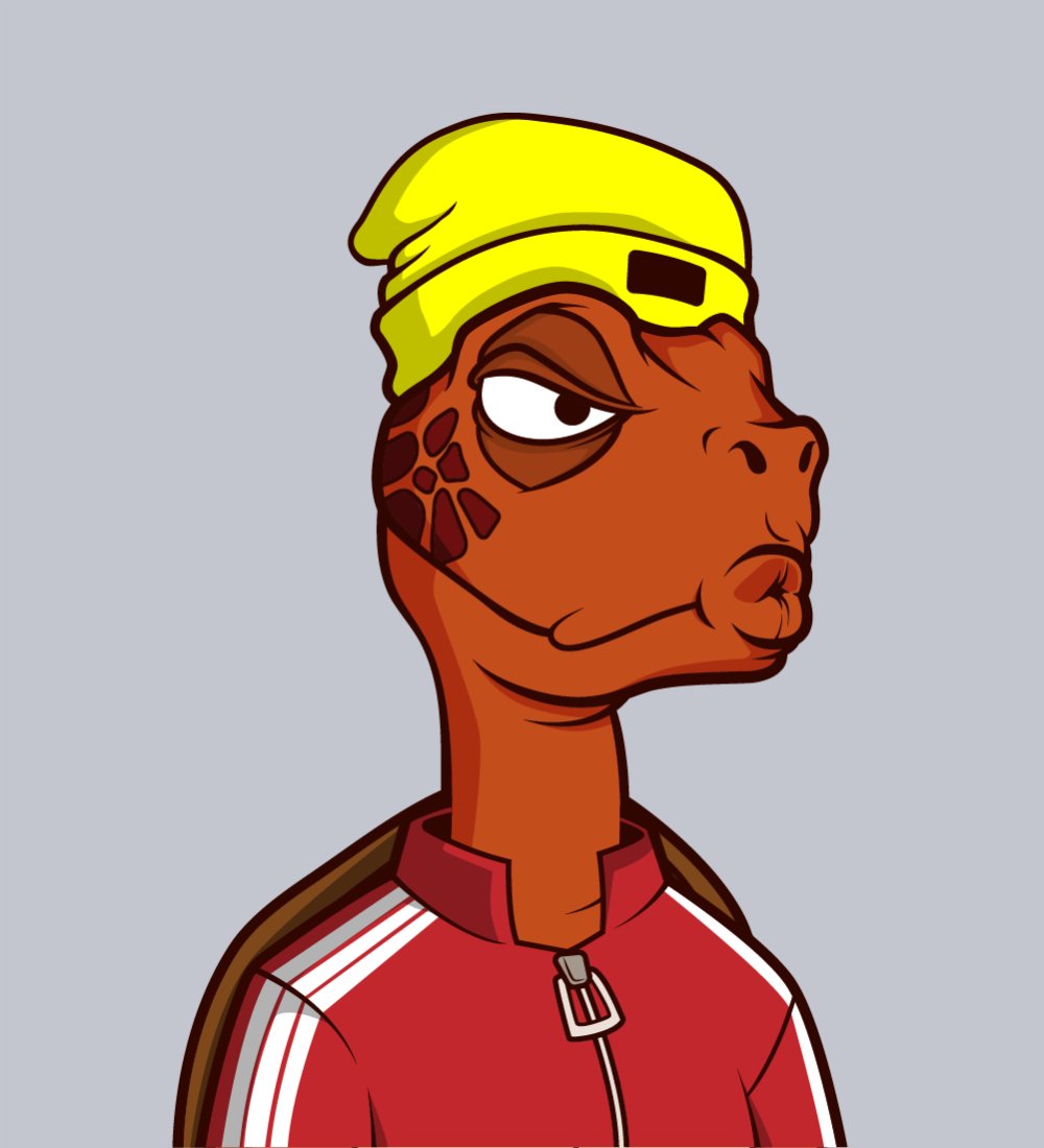 realtinywhale's tweet image. Tiny Turtle Holders Race
Comment 🐢 to be a part of this race. #tinyturtle #NFTkid