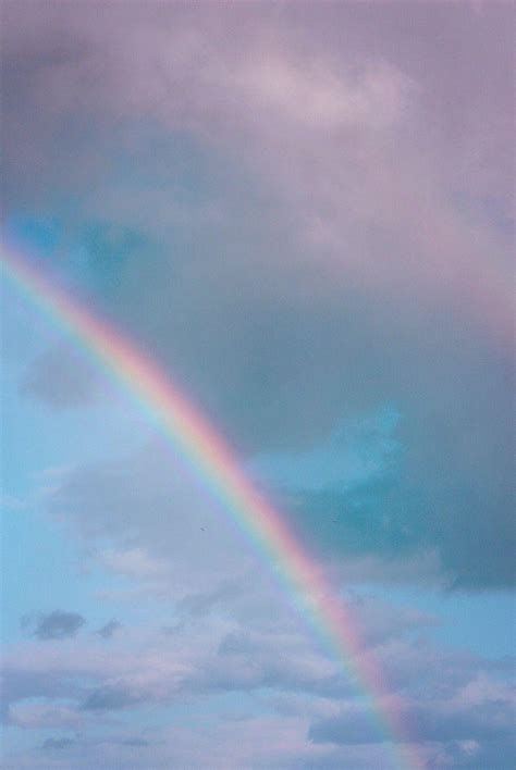 willokhlass's tweet photo. RT pour effrayer un homophobe https://t.co/mFuuoBtdBe