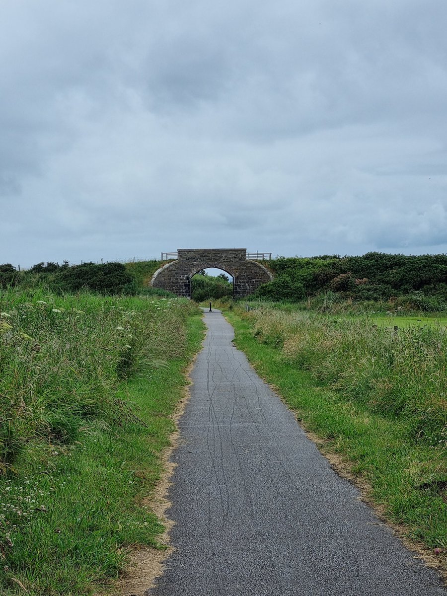 DavidMcCubbin77's tweet photo. Over the rooftops at Portessie to Strathlene on my lunchtime run on the old GNSR railway line at Portessie.
#portessie #strathlene #morayspeyside https://t.co/XBJA6Uwl3f