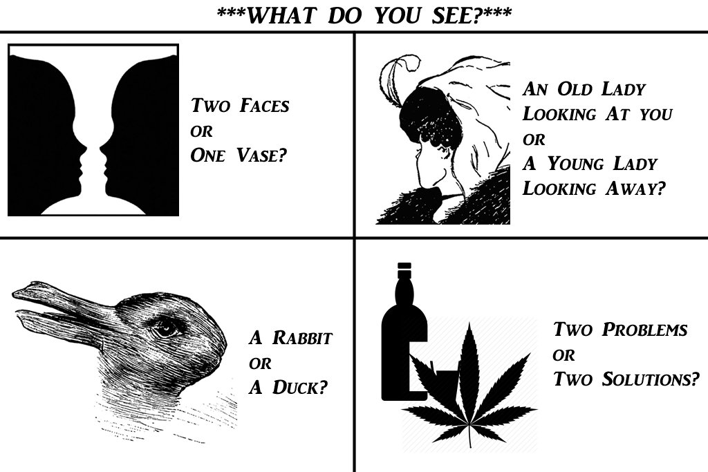 'Optical Illusions' #cartoons #sarcasm #opticalillusion #problems #solutions #drugs #drinking #alcoholism #seeingisbelieving