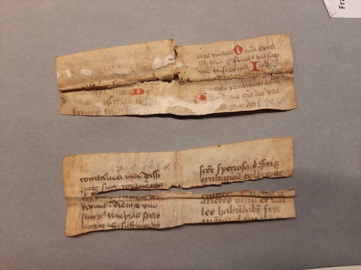 MMFCbe's tweet image. Small is beautiful. The remnants of a miniature breviary amongst the fragments in @ehcantwerp Fragm. 277.  Soon to be read on the Fragmentarium platform. #fragmentology