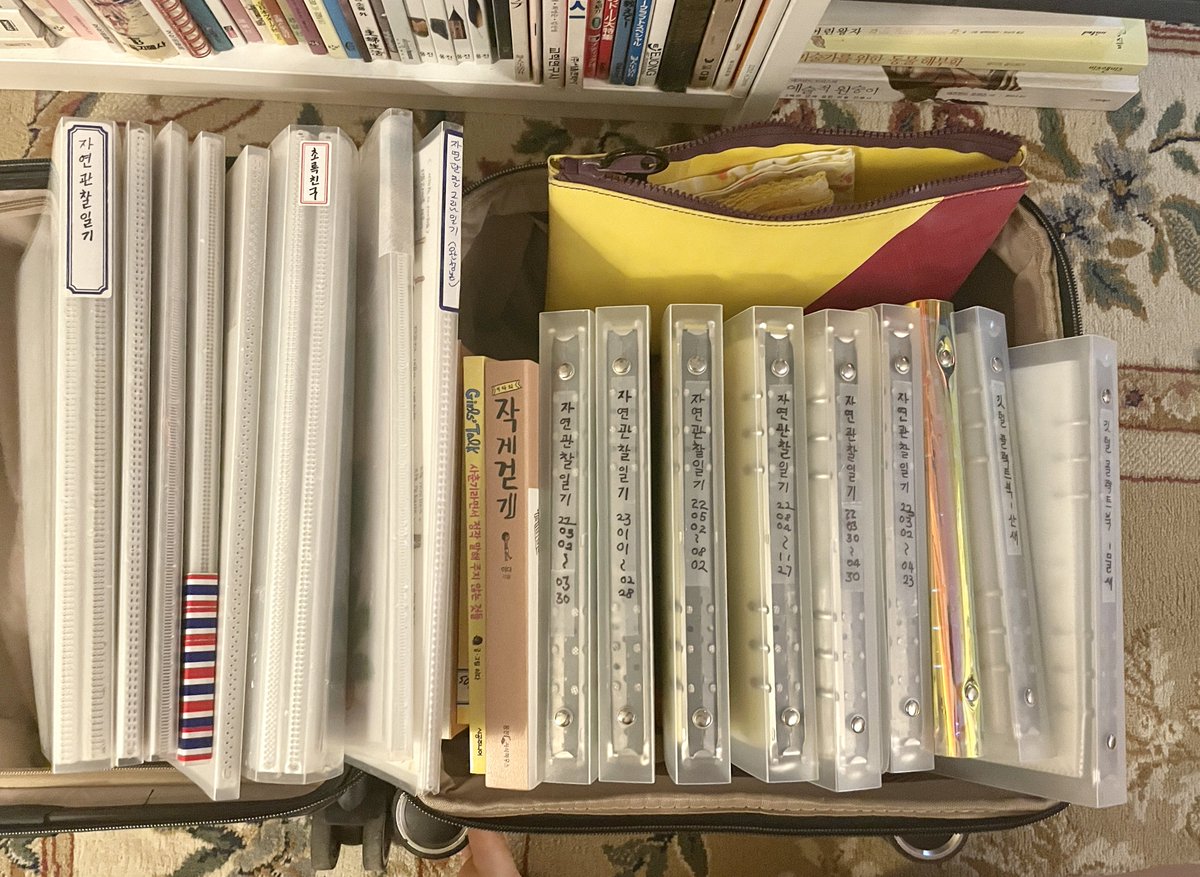 이다 tweet media
