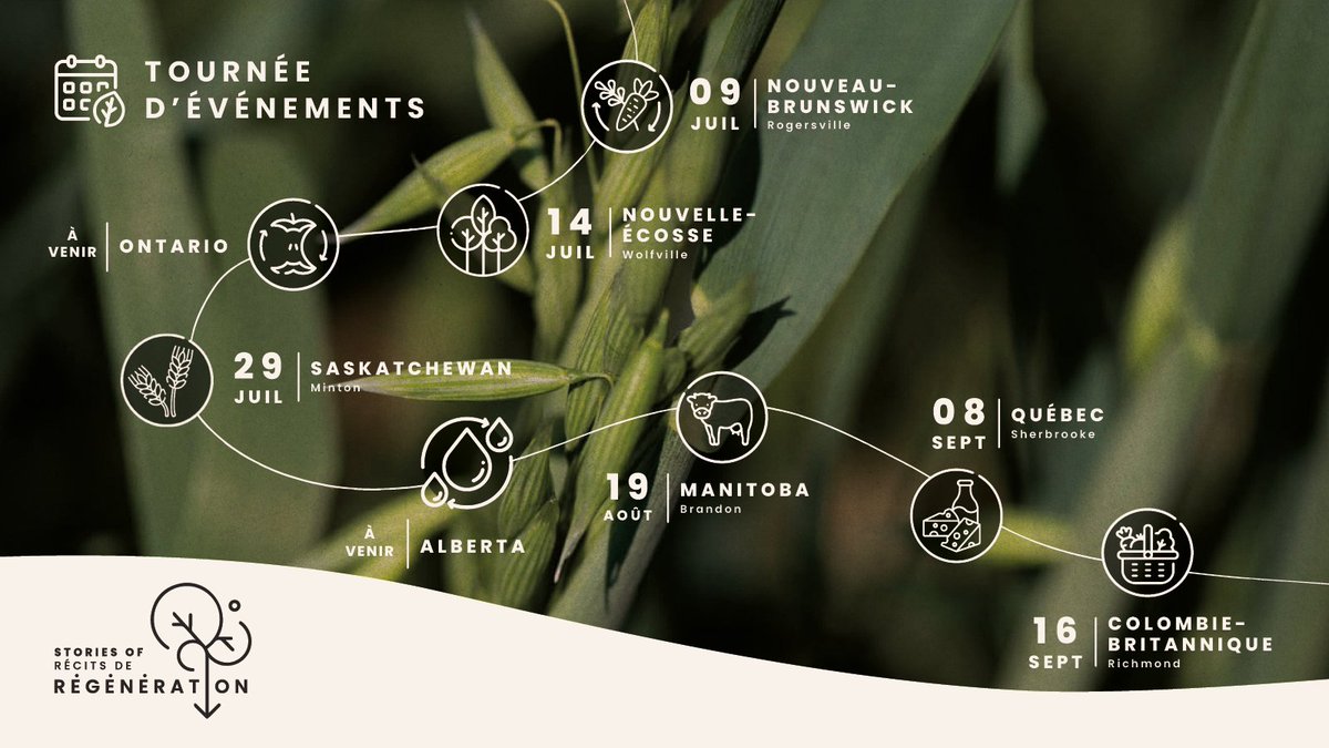 Food For All NB | Aliments pour tous NB tweet media