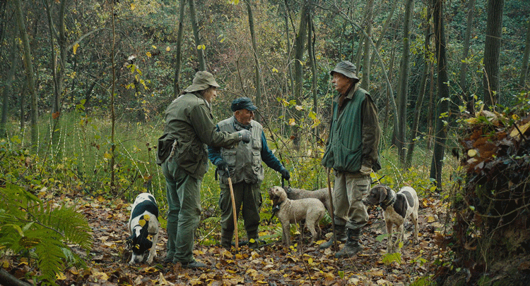 italie_nl's tweet photo. Vanavond op TV: de #Truffel Hunters.  Je hoeft maar naar de foto's te kijken en je weet dat het om een bijzondere documentaire gaat over truffeljagers uit #Piemonte. 
Lees meer over deze toffe TV-tip op: https://t.co/2UX5GcTXdQ
#piedmont #truffel #italie #tv 
#thetrufflehunters https://t.co/MdsJ9tTeLs