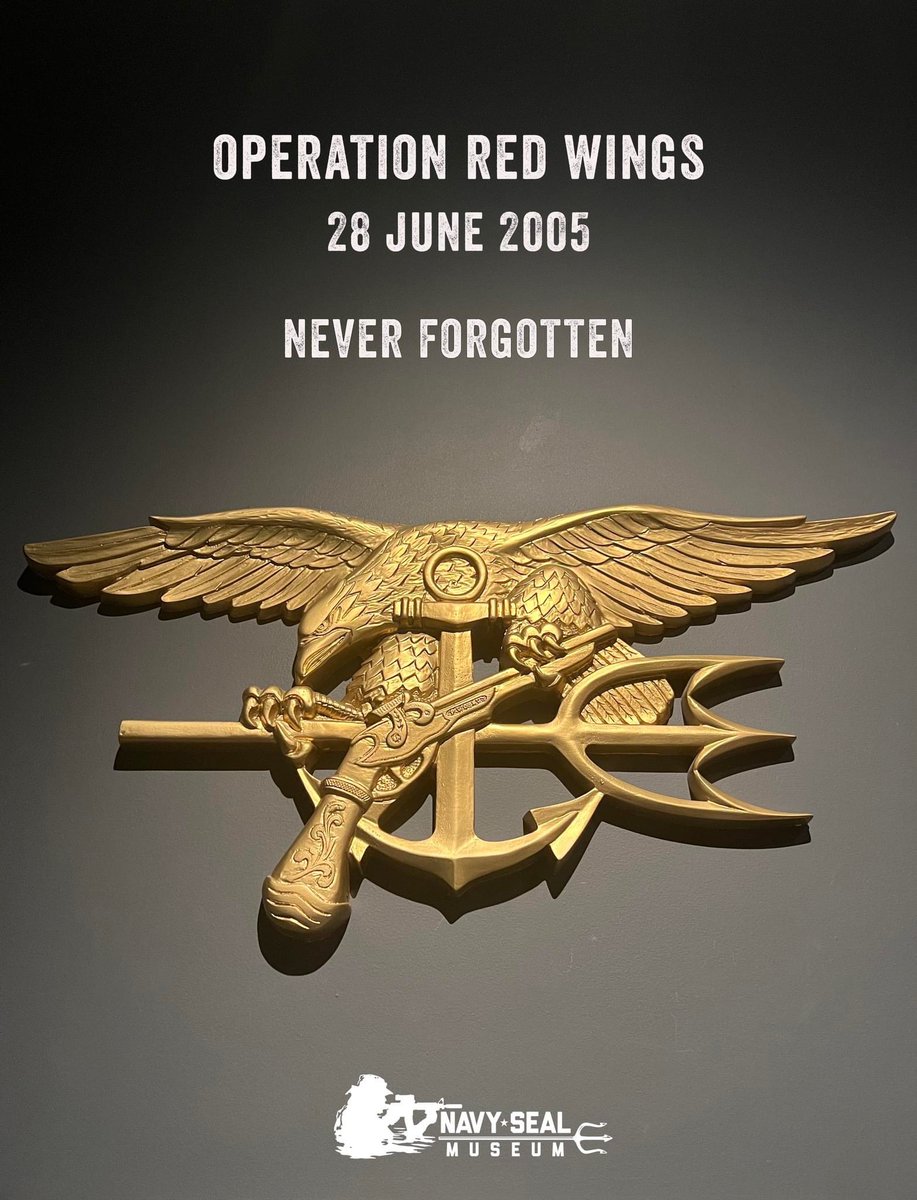 Today we honor those who made the ultimate sacrifice in service to our country on 28 June 2005. #operationredwings #neverforget