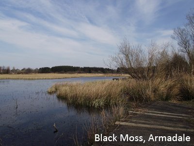 We're working with <a href="/LoveWestLothian/">West Lothian Council</a> to improve Black Moss Nature Park’s woodland and peatland, and we'd like to hear what local residents’ thoughts are on the development plans. 🏞️

Find out more and have your say here: greenactiontrust.org/black-moss/