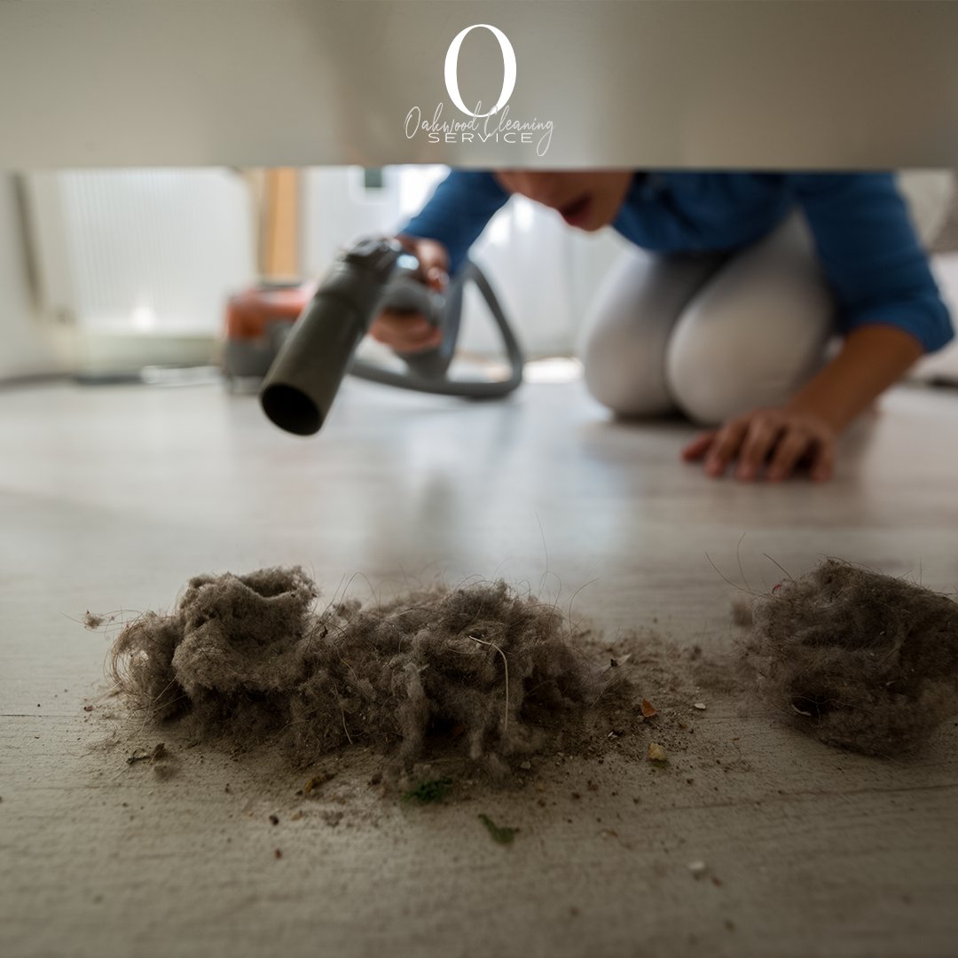 OakwoodCleanDay's tweet image. Get ready to say goodbye to dirt and dust, because we're here to clean up the town! 🧹🌟 Our professional cleaning services will leave your home sparkling and fresh. Trust us, you won't be disappointed! 💪 #TrustedCleaners #CleanUpTown #ExcitedToClean