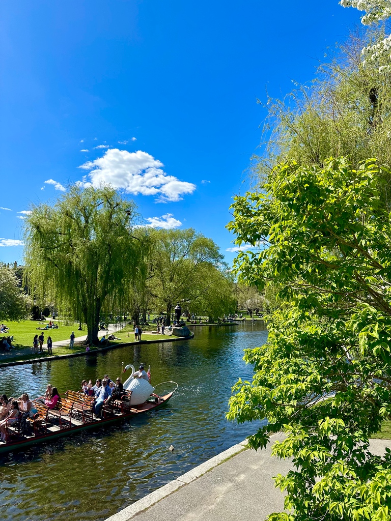 VisitMA's tweet photo. Take a moment this summer to enjoy the Boston Public Garden by swan boat! 🦢 #TakeAMomentMA

📸 @visitma
📍 Boston, MA https://t.co/0CEQV5jPkC