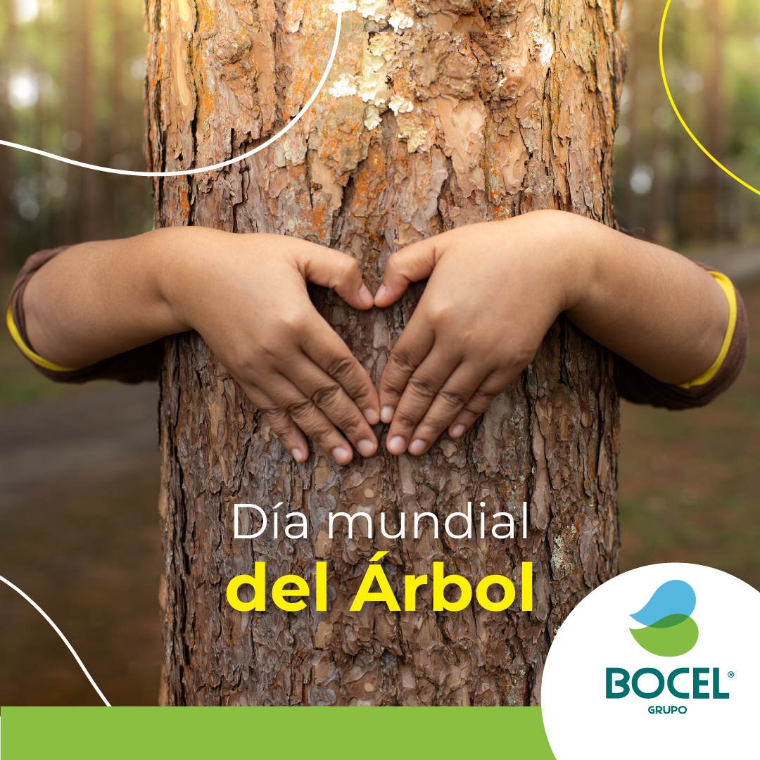 Hoy en el Día del Árbol, Grupo Bocel reafirma su compromiso con la protección del medio ambiente y su contribución a un futuro más verde para todos. 🌳🌍 

#DíaDelÁrbol #CompromisoAmbiental #Sostenibilidad #GrupoBocel
#HacemosGrandeLoNuestro
#GrupoBocel