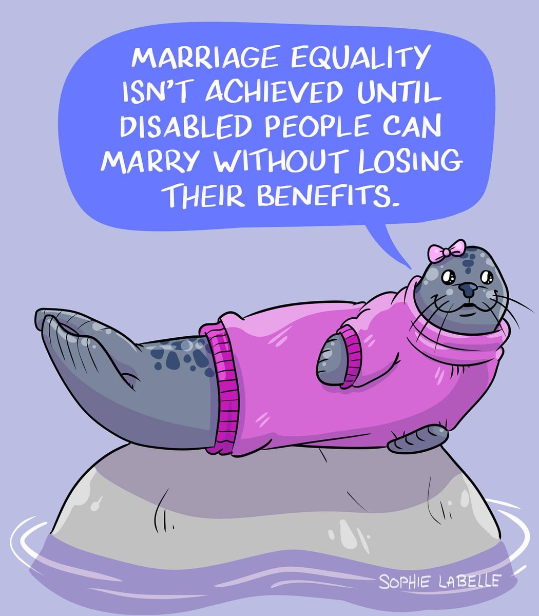 'Marriage equality isn't achieved until disabled people can marry without losing their benefits.'