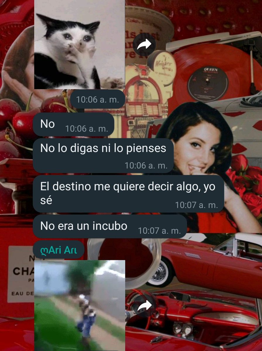 tiemblanalgas's tweet photo. Yo solo hablo con la verdad y @thxrnygirl_ me lanza una mesa en la cabeza🧐🧐🧐 https://t.co/wOWRWdVWzC
