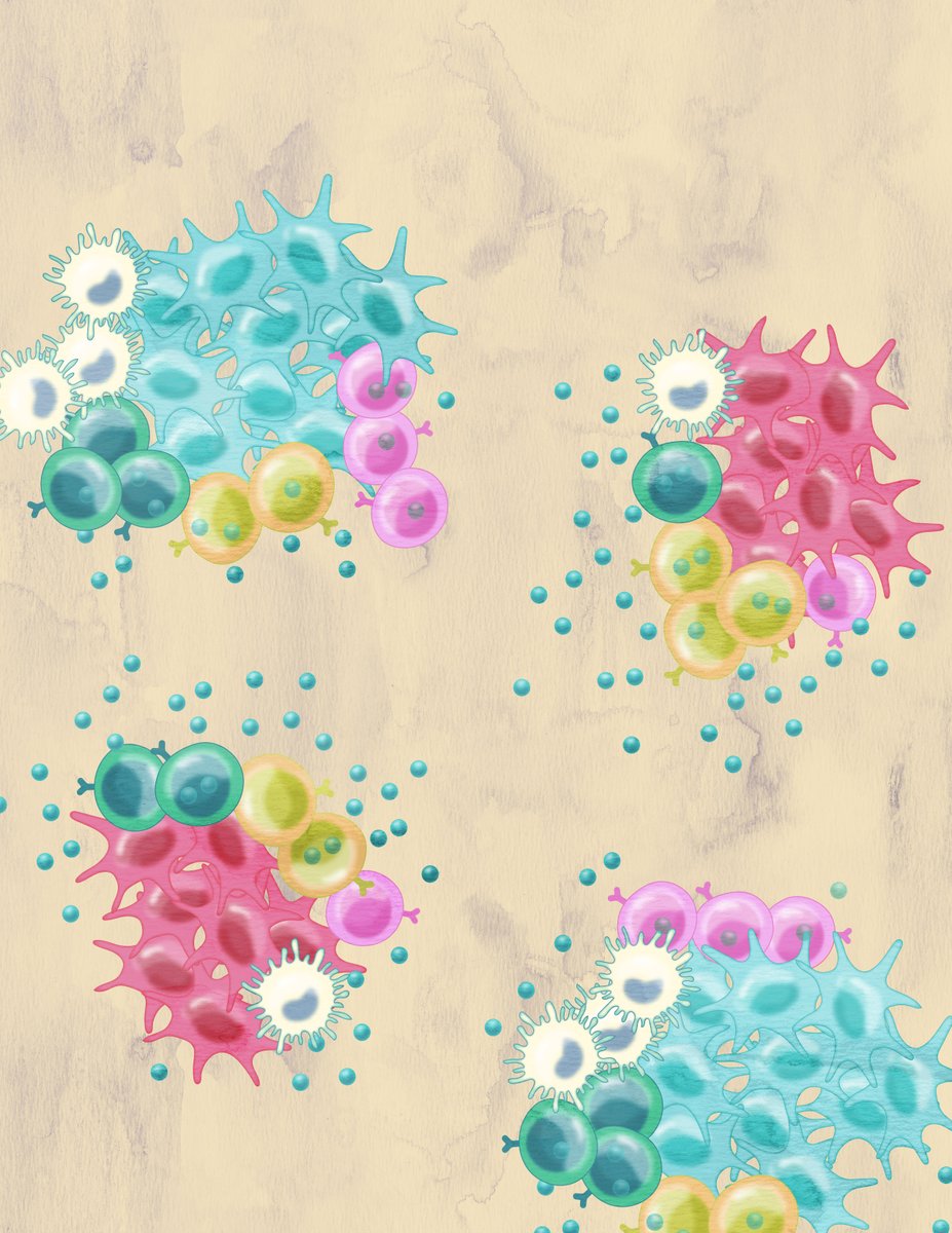 Elizabeth McKenna (@elizsmckenna) on Twitter photo Now online in <a href="/CD_AACR/">Cancer Discovery</a>: Sex-biased T cell Exhaustion Drives Differential Immune Responses in #Glioblastoma <a href="/JuyeunLee31/">Juyeun Lee</a> <a href="/JustinLathia/">Justin Lathia, PhD π§ πΊπ½</a> <a href="/ClevelandClinic/">Cleveland Clinic</a> <a href="/caseccc/">Case Comp Cancer Ctr</a> doi.org/10.1158/2159-8β¦ Now online in <a href="/CD_AACR/">Cancer Discovery</a>: Sex-biased T cell Exhaustion Drives Differential Immune Responses in #Glioblastoma <a href="/JuyeunLee31/">Juyeun Lee</a> <a href="/JustinLathia/">Justin Lathia, PhD π§ πΊπ½</a> <a href="/ClevelandClinic/">Cleveland Clinic</a> <a href="/caseccc/">Case Comp Cancer Ctr</a> doi.org/10.1158/2159-8β¦