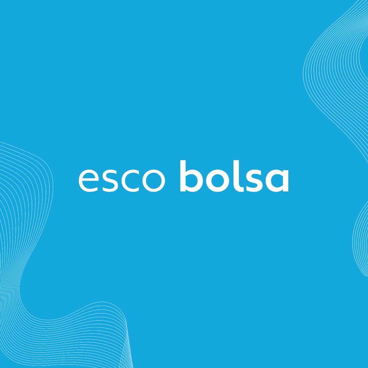 Mediante esco bolsa, procesamos +5M de operaciones de FCI que sirven para remunerar saldos en billeteras digitales.  
Las wallets más grandes e intermediarios relacionados, canalizan los servicios de inversión para sus usuarios, a través de nuestra infraestructura tecnológica.