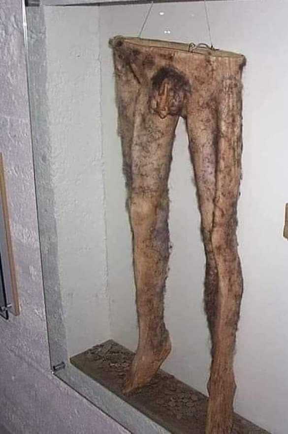El museo más tétrico que conocerás 

El Museo de Magia y Brujería en Islandia es el hogar del único par de Necropantes conocido: pantalones hechos de piel humana.

Parte 1/3
