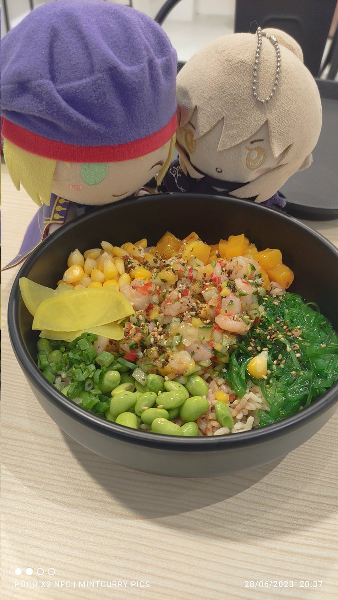 CirnoFumoTan's tweet photo. "What are you looking at? Stop winking and eat your dinner!"
SAlter Lily is annoyed by Casty's winking and poses next to dinner.
#salterlily #castoria #fgo #sanriofgo #plushies #pokebowl #paperfish #paperfishtaipan #malaysia https://t.co/iRAA6Efb5p