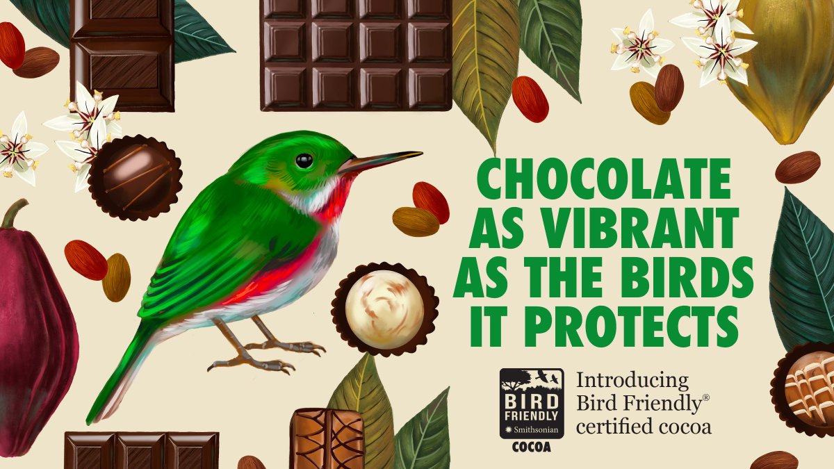 Smithsonian Migratory Bird Center tweet media