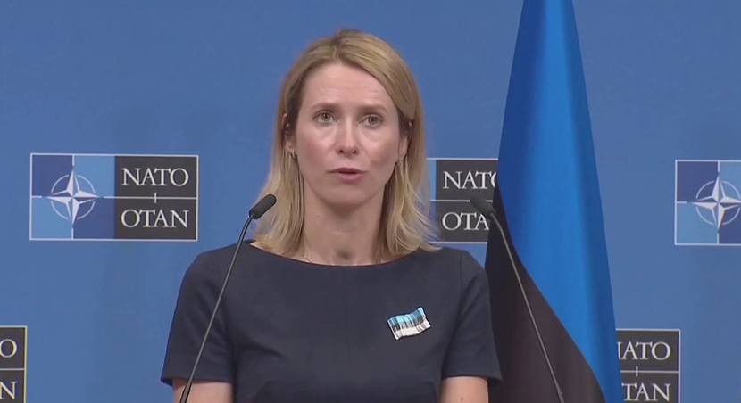 'Ukraine is in for a surprise regarding NATO membership at the July summit,' Prime Minister of Estonia Kaja Kallas said

'I'm sure that the only security guarantee that really works is NATO. But I don't want to somehow spoil the surprise of the summit in Vilnius,' she said,