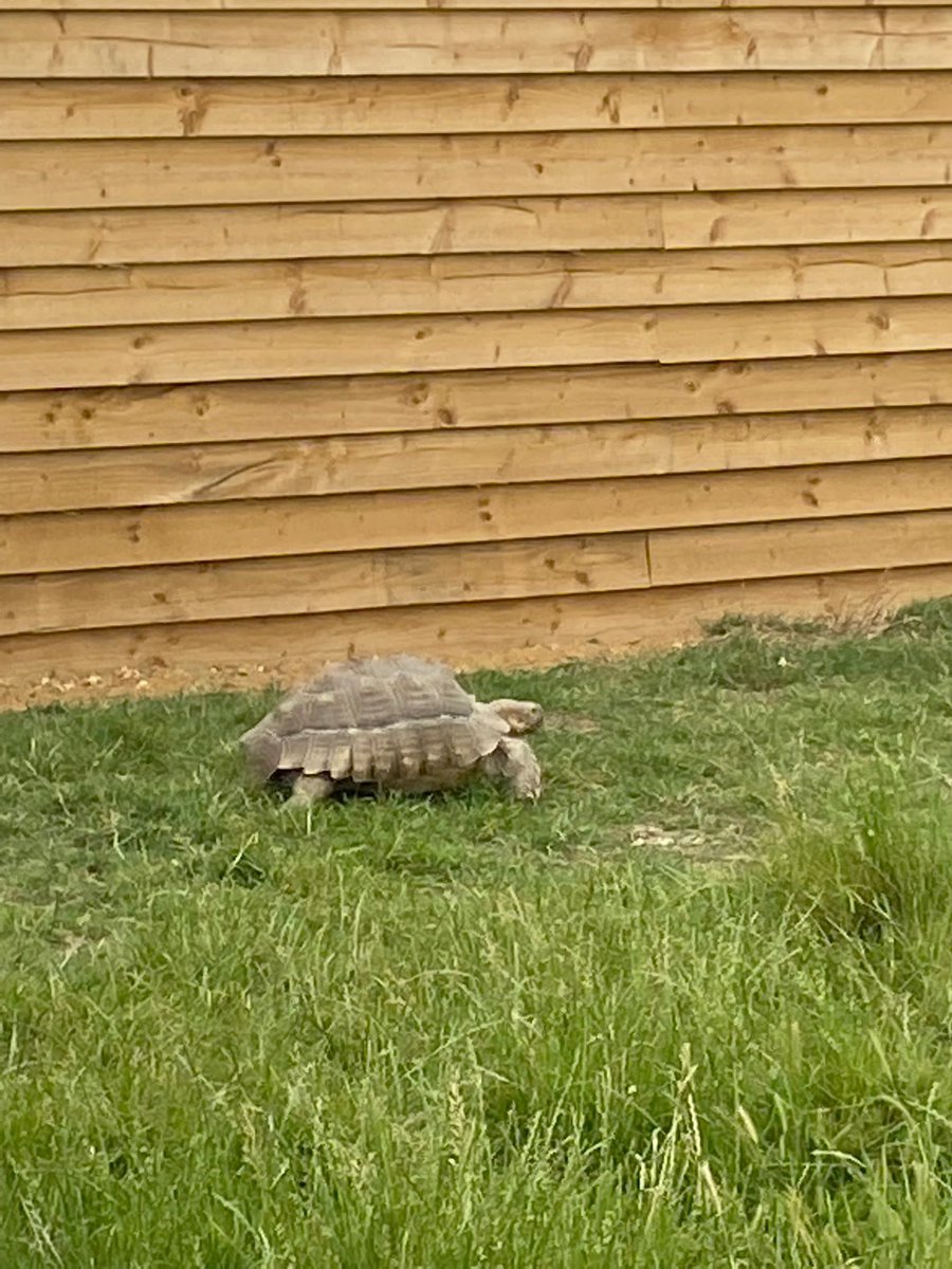 Larchwood Primary tweet media